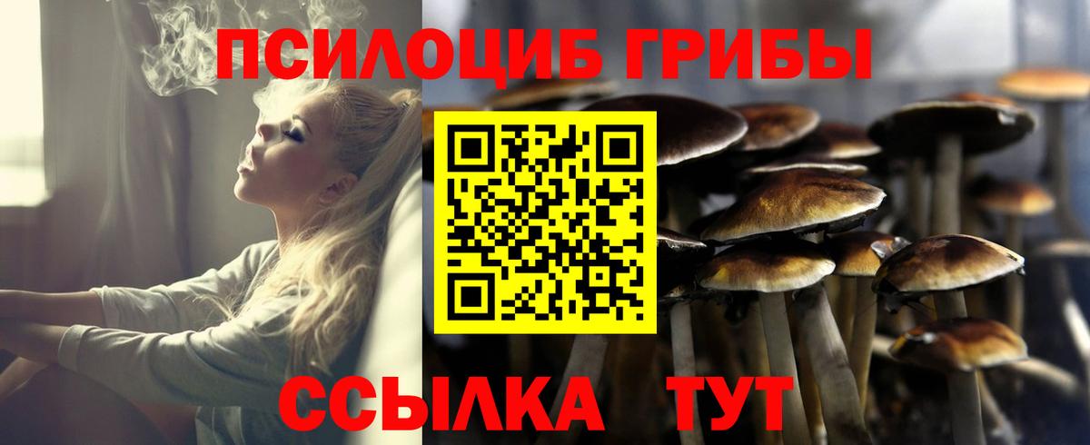 Псилоцибиновые грибы Psilocybine cubensis  Вход с VPN  Соликамск 